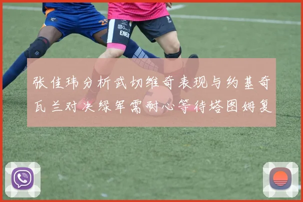 张佳玮分析武切维奇表现与约基奇瓦兰对决绿军需耐心等待塔图姆复出