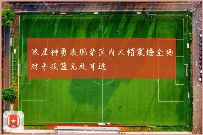浓眉神勇表现禁区内大帽震撼全场对手投篮无处可逃